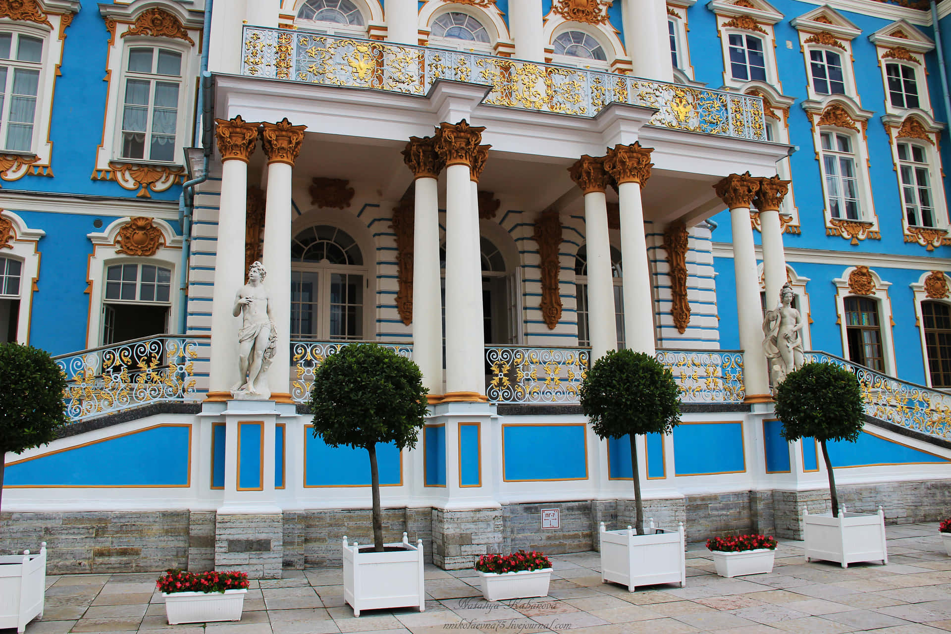 Catherine Palace Front Entrance Background