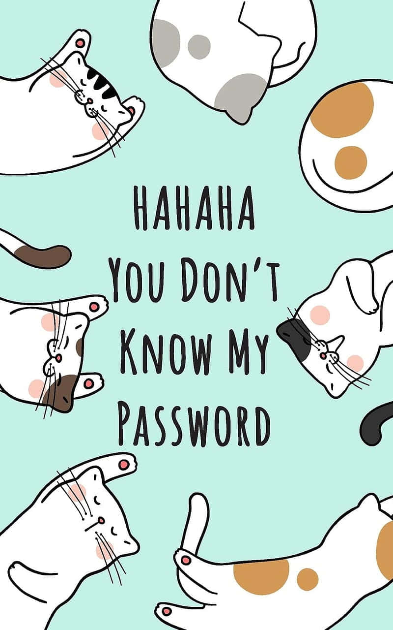 Cats Password Humor Illustration Background