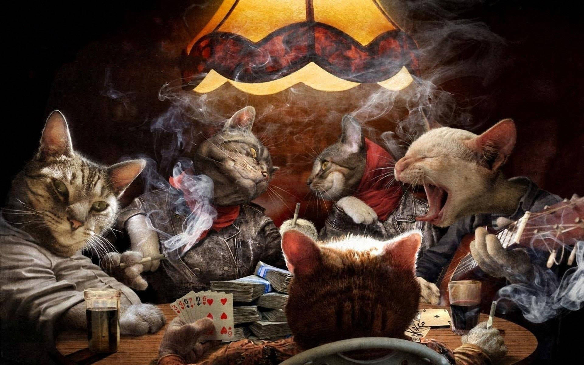 Cats Play Poker Background