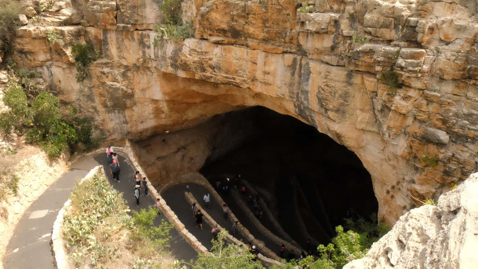 Cave Entryway Carlsbad Caverns National Park Background