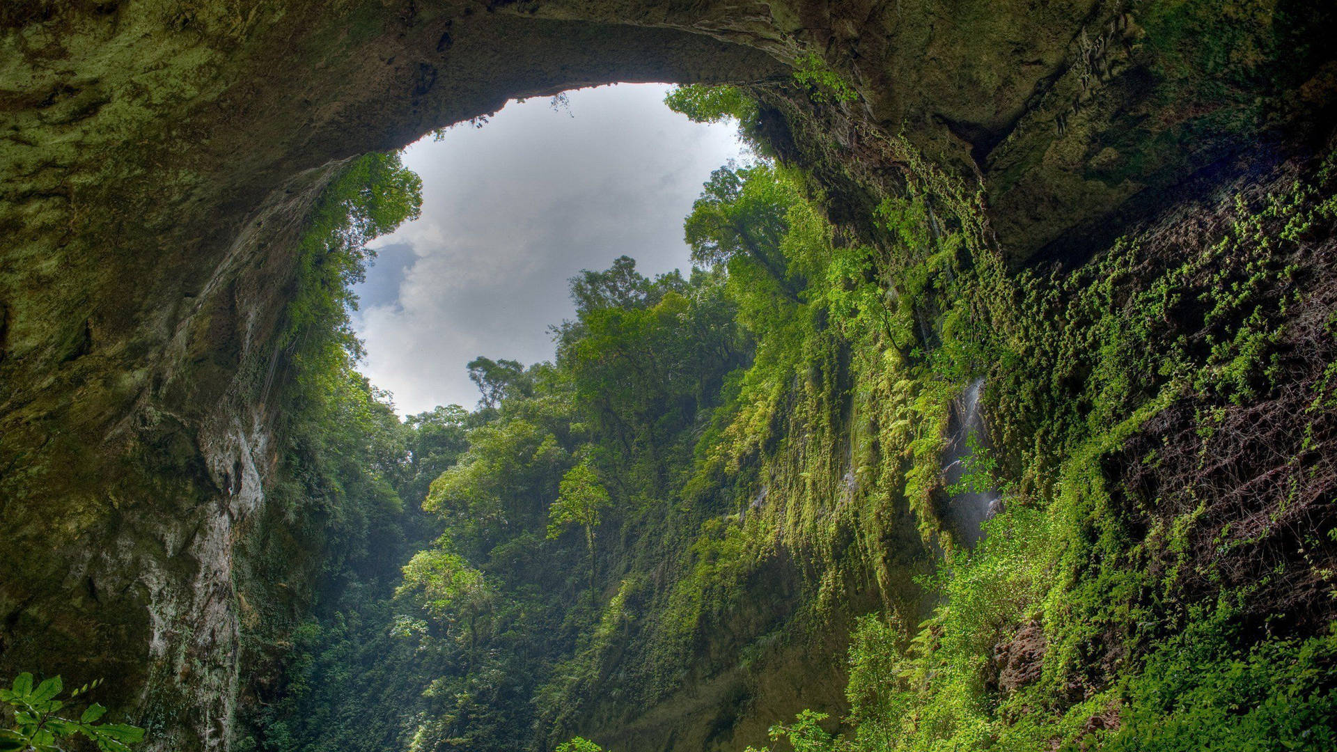 Cave Forest Background Background