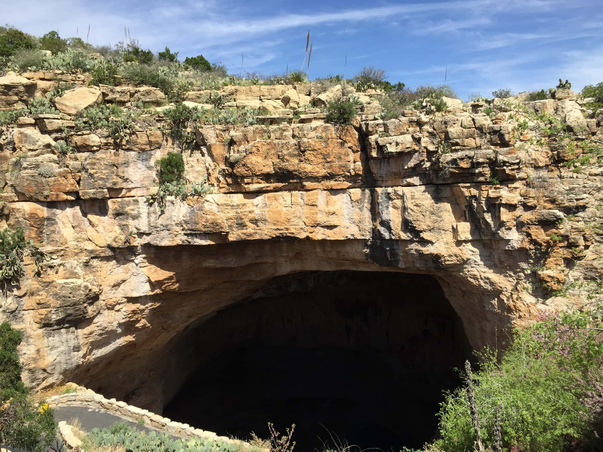 Cave Opening Carlsbad Caverns National Park Background
