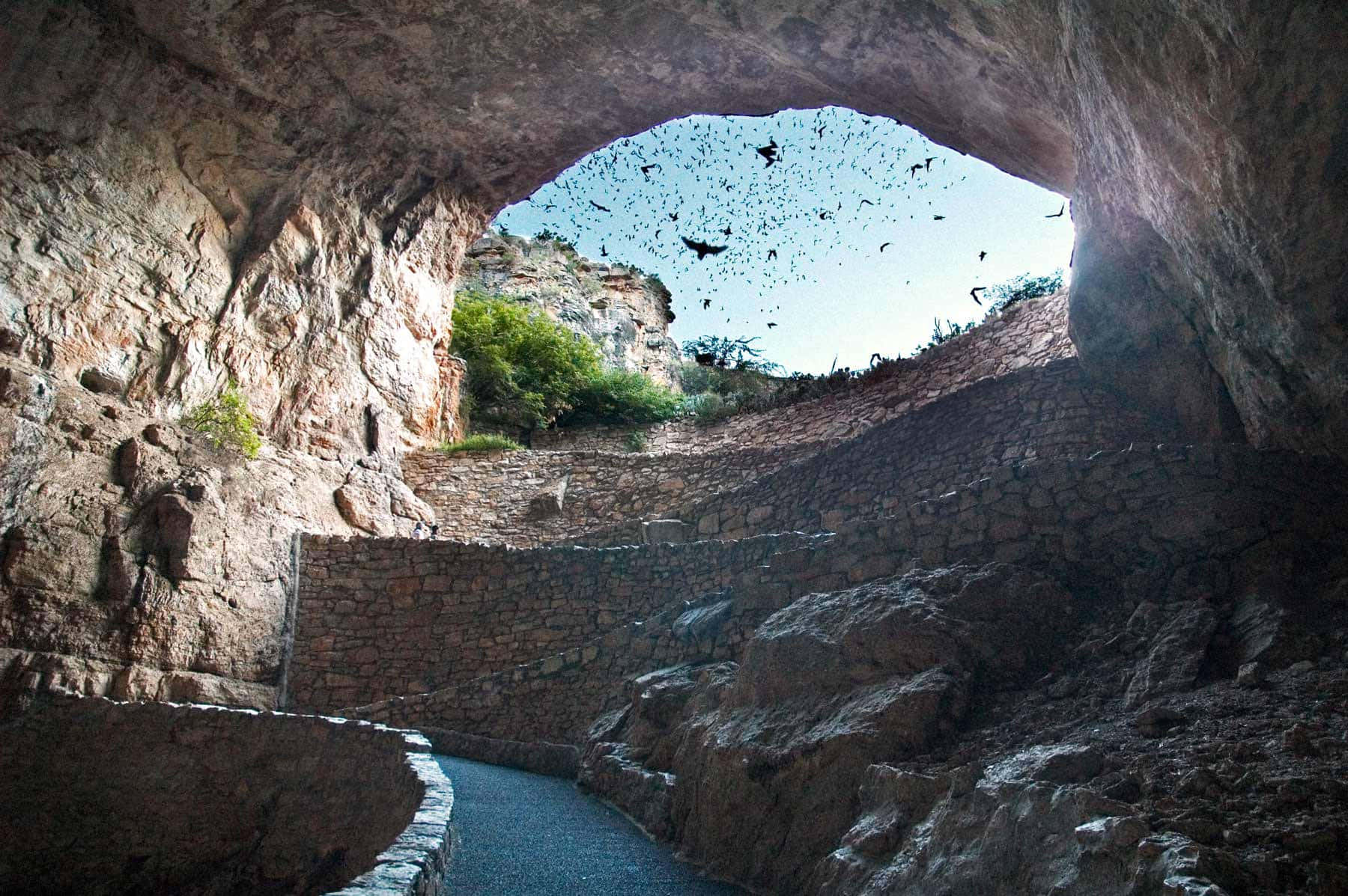 Cave View Carlsbad Caverns National Park Background