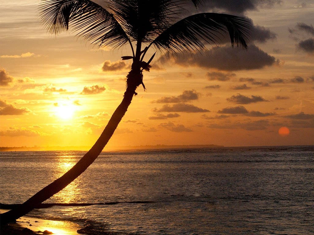 Cayman Island At Sunset