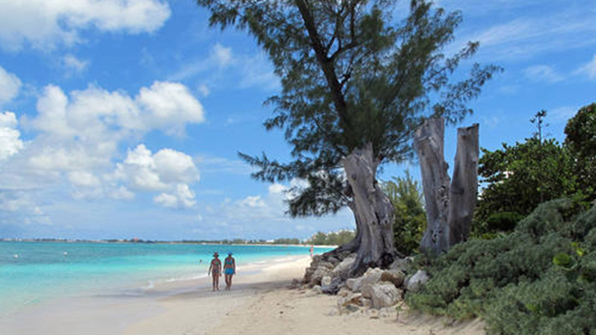 Cayman Island Award-winning Beach Background