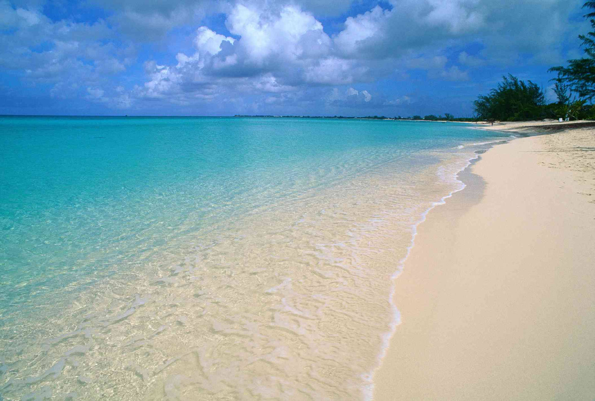 Cayman Island Caribbean’s Best Beach Background