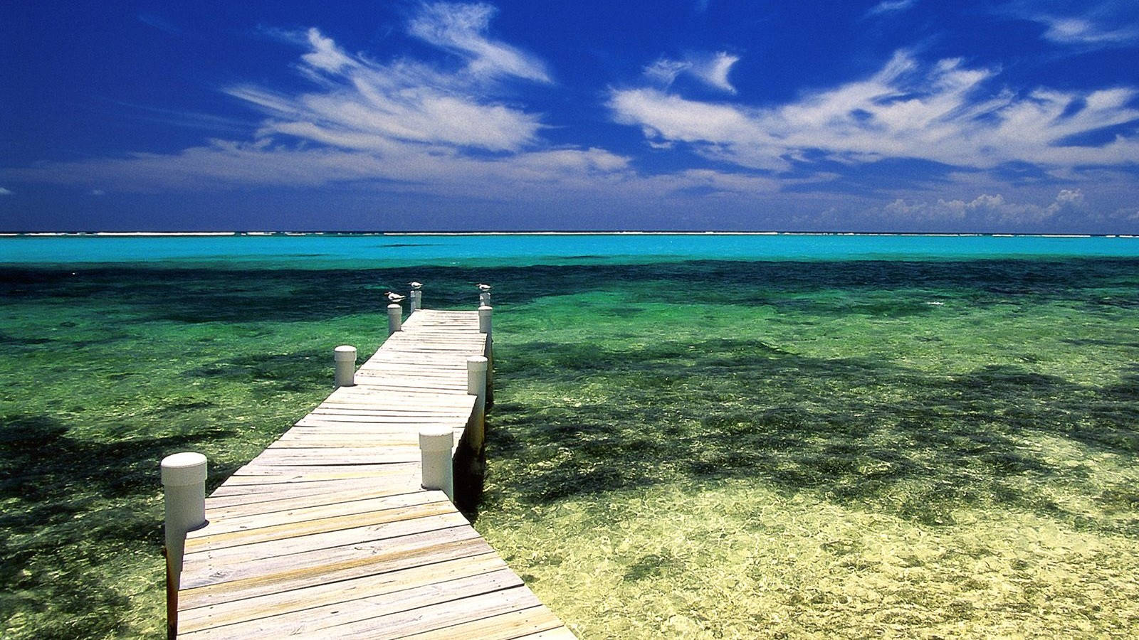 Cayman Island Grand Pier Background
