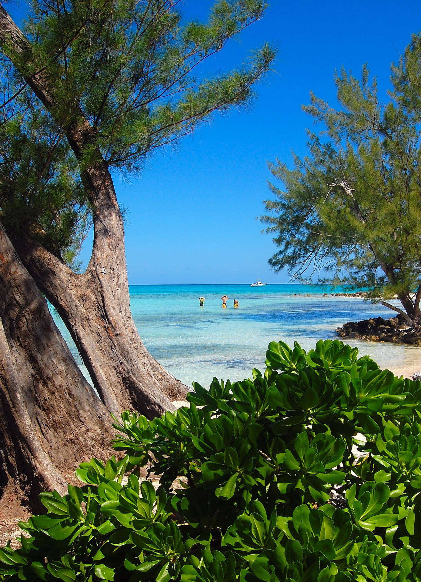 Cayman Island Seascape Background