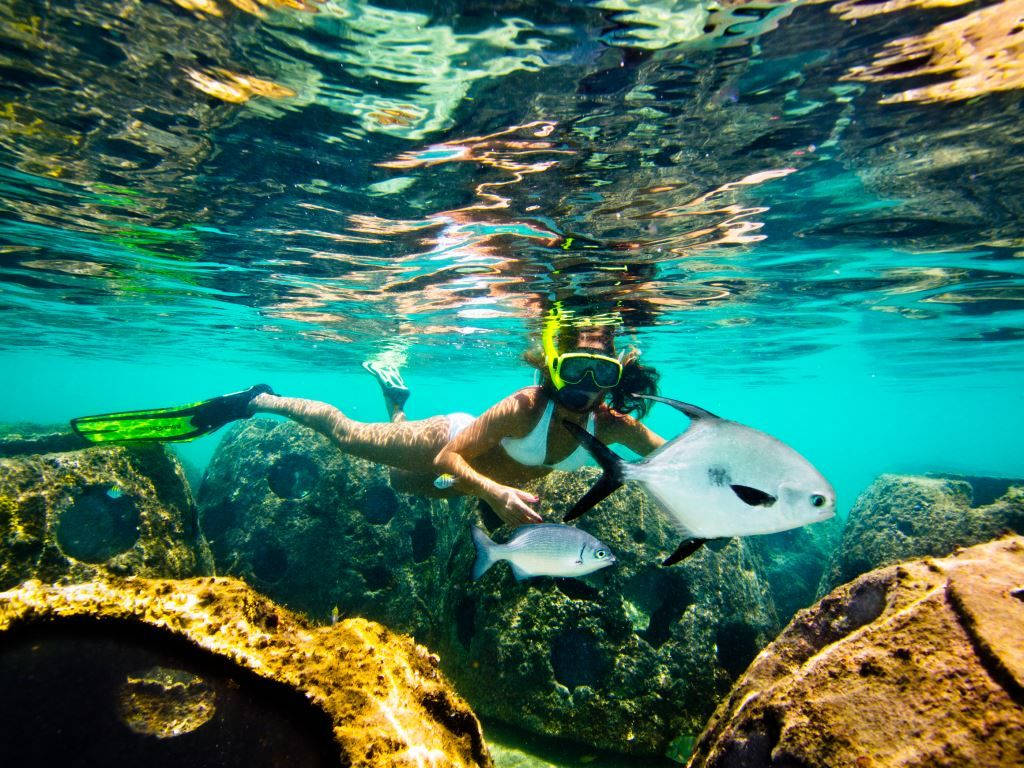 Cayman Island Snorkeling Background
