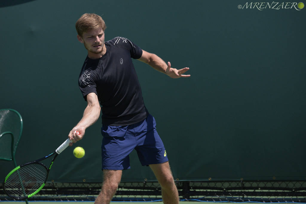 Cedric Tennis Pro David Goffin In Action Background