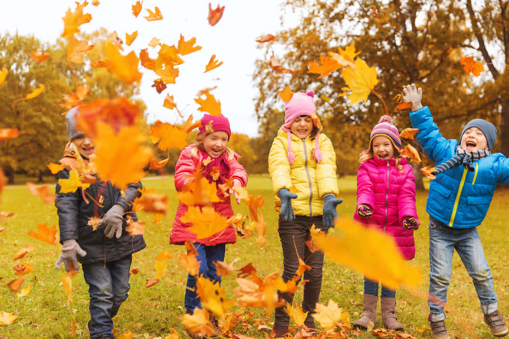 “celebrate Autumn With A Special Birthday” Background