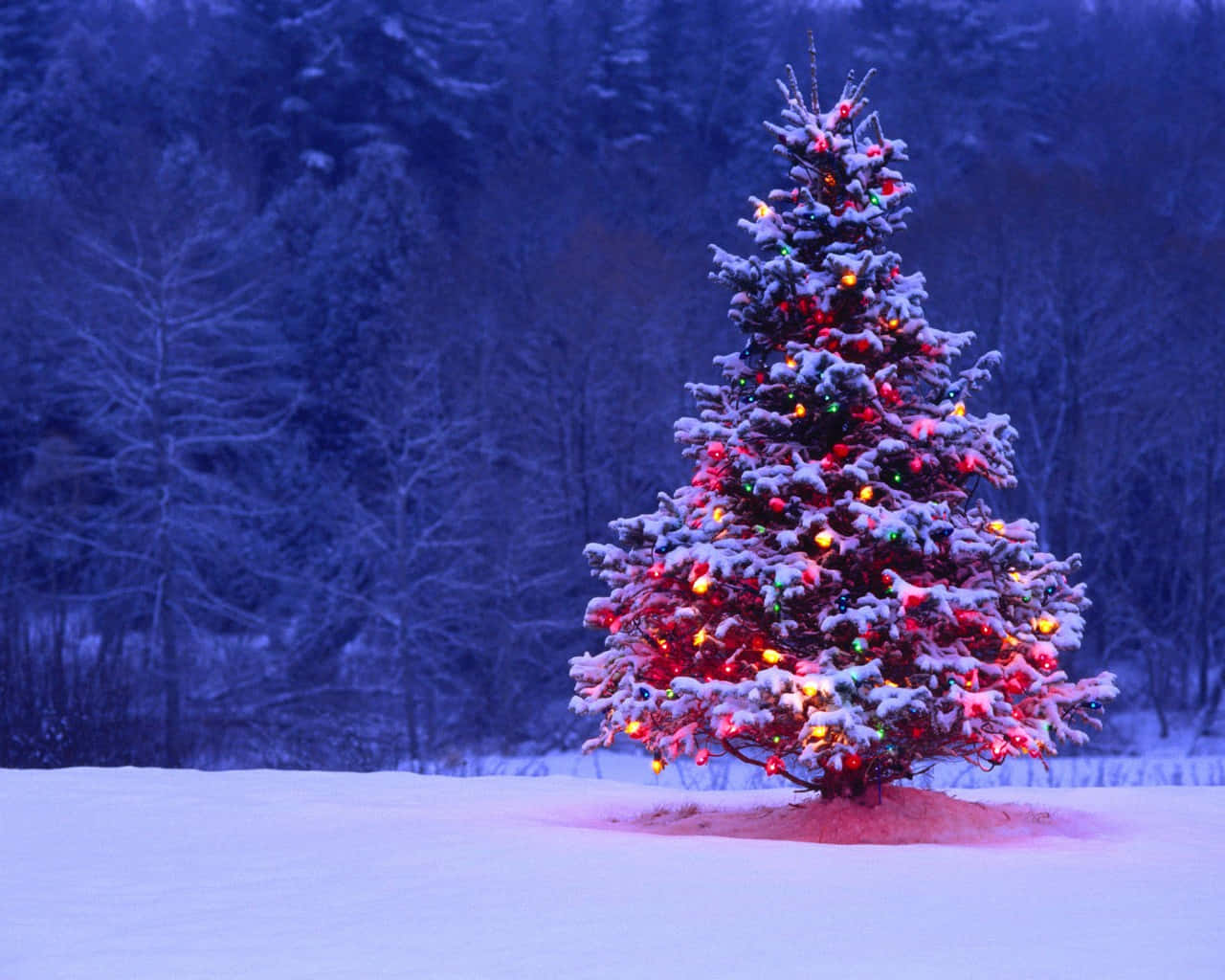 Celebrate Christmas With A Magical Winter Wonderland Background