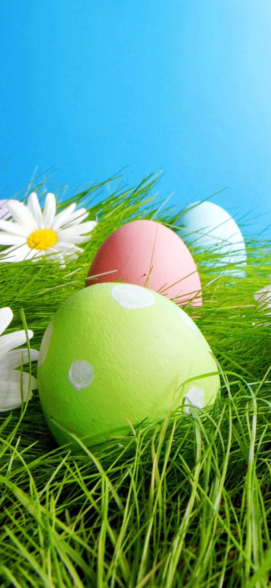 Celebrate Easter In Style With An Easter Phone Background