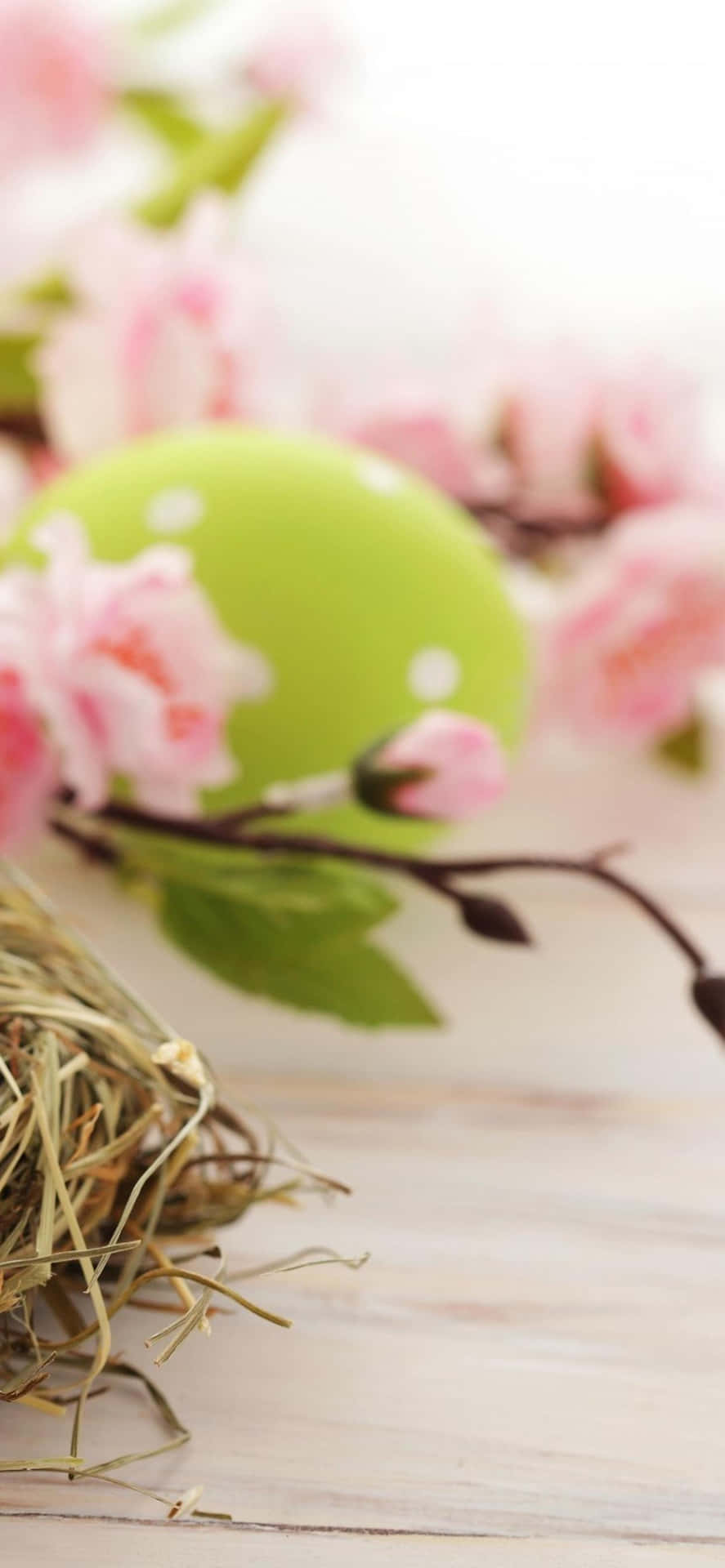 Celebrate Easter With A Cute Bunny Iphone Cover Background