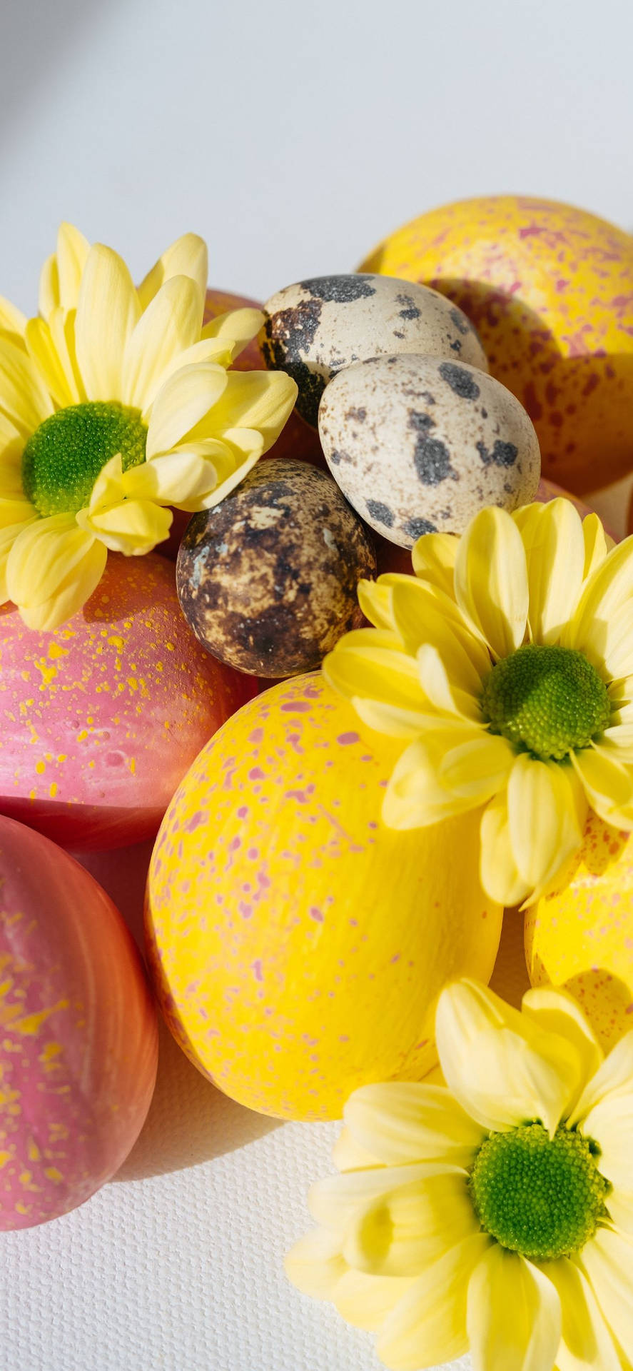 Celebrate #easter With A New Phone! Background