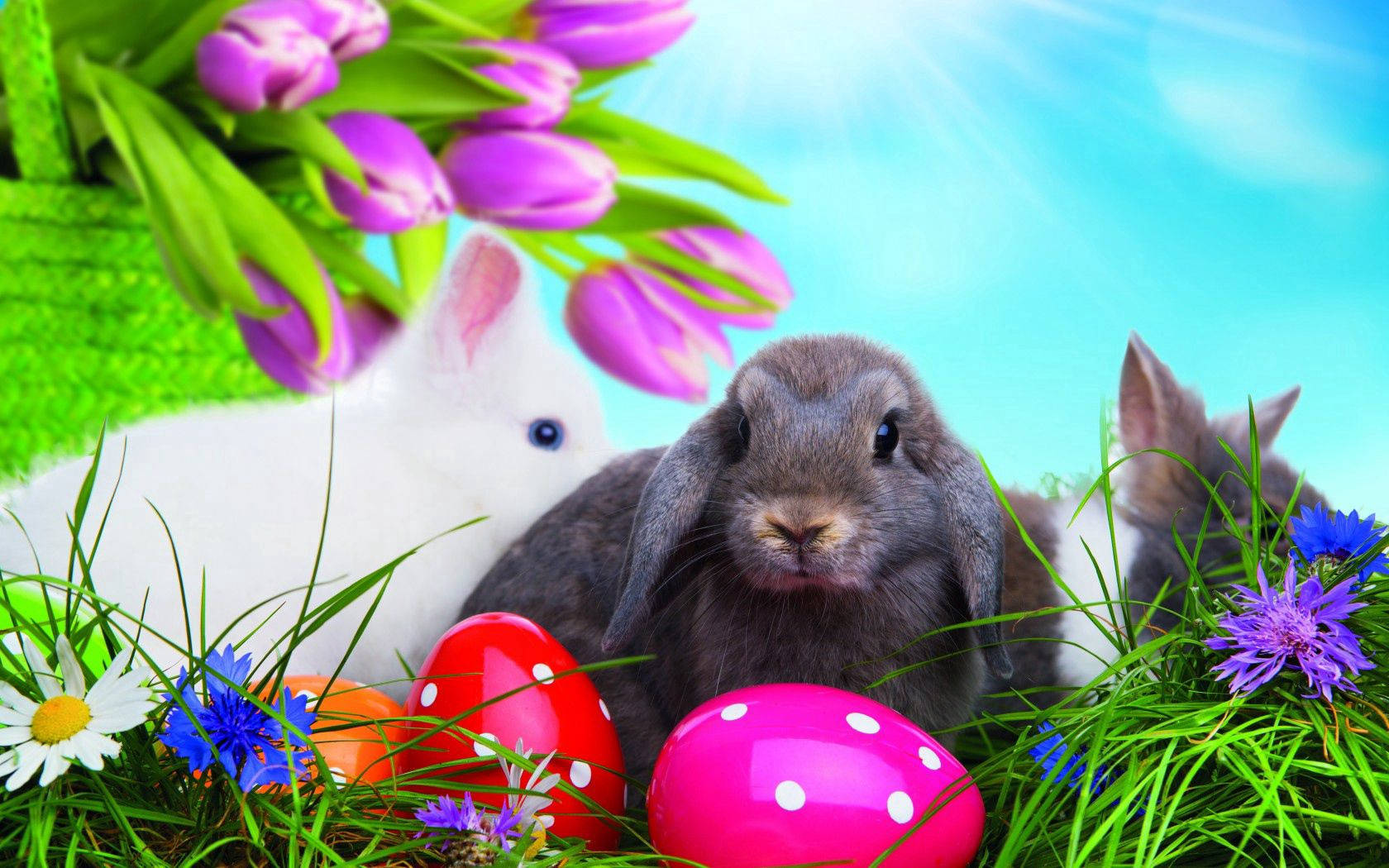 Celebrate Easter With Brightly Colored Eggs And Adorable Bunnies Background