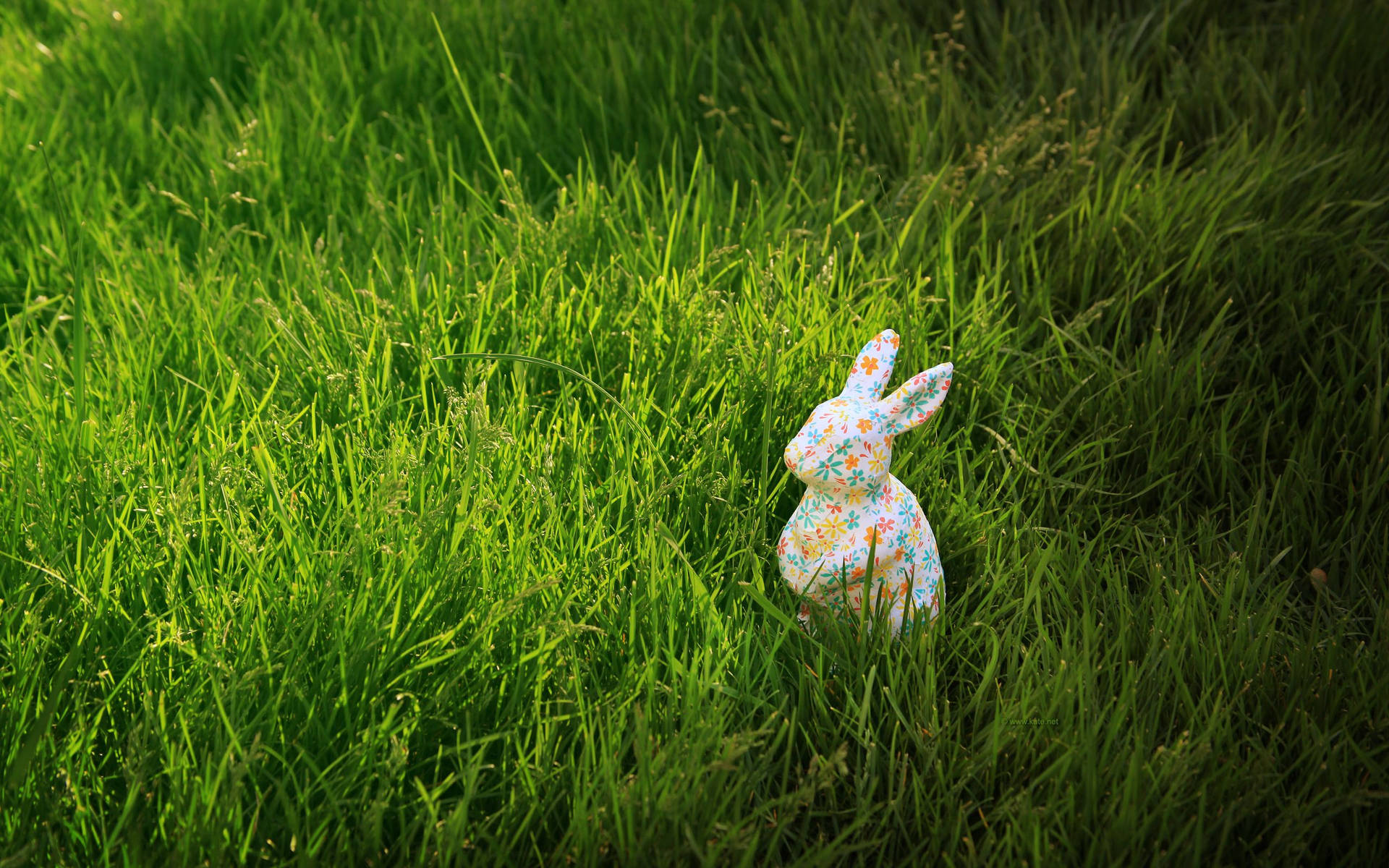 Celebrate Easter With Colorful Bunnies! Background