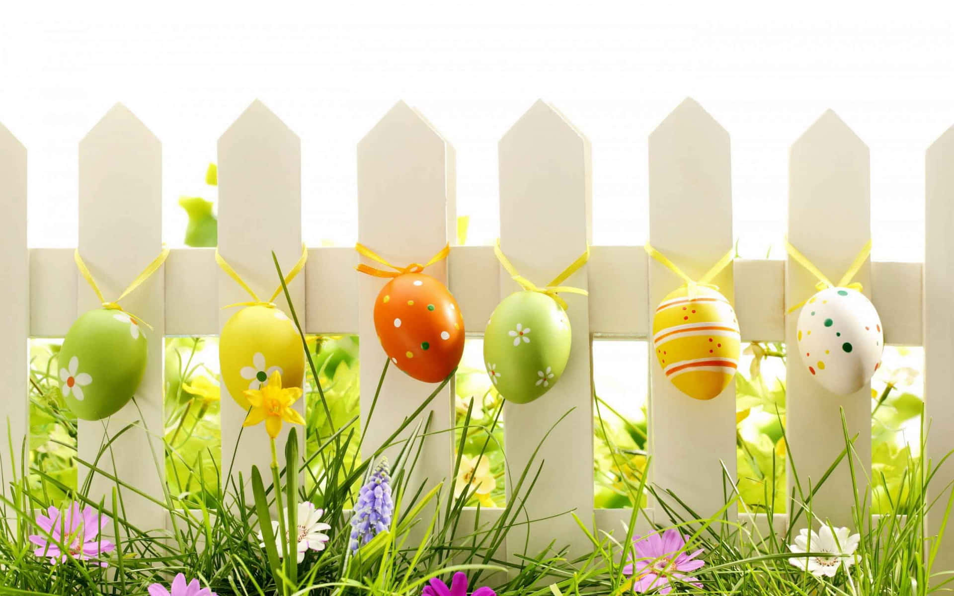 Celebrate Easter With Cute And Happy Thoughts Background