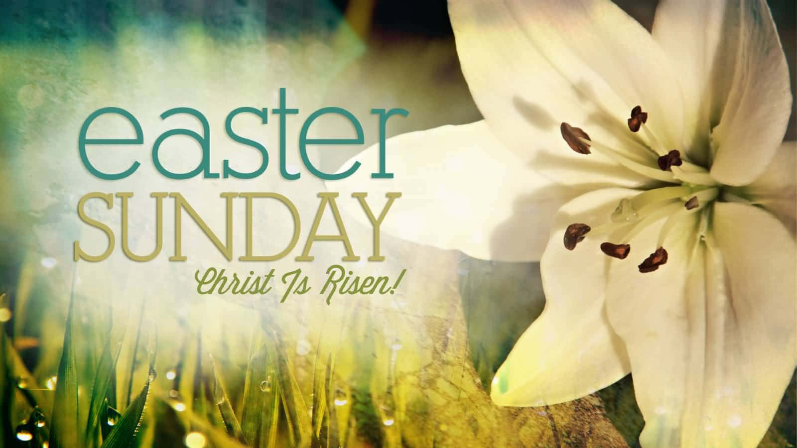 Celebrate Easter With Faith And Joy Background