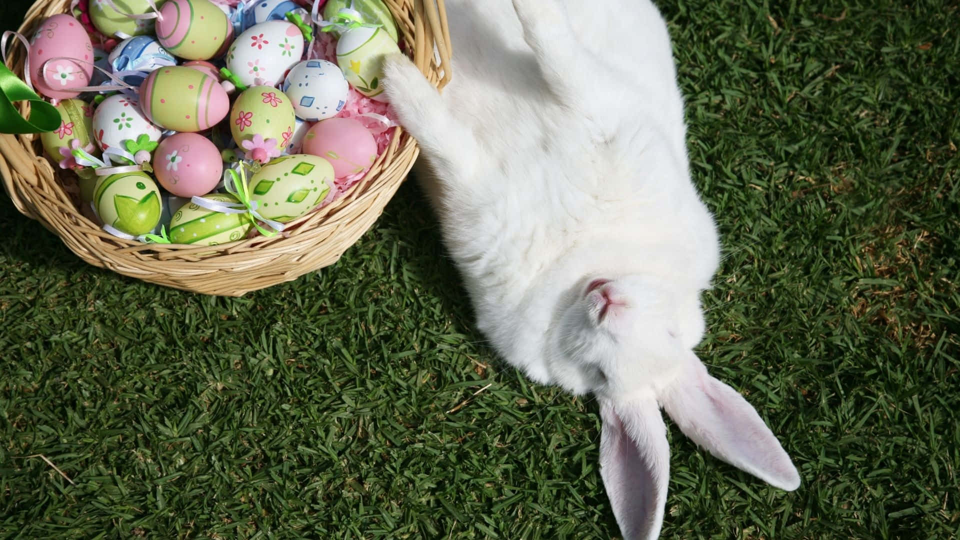 Celebrate Easter With The Easter Bunny!