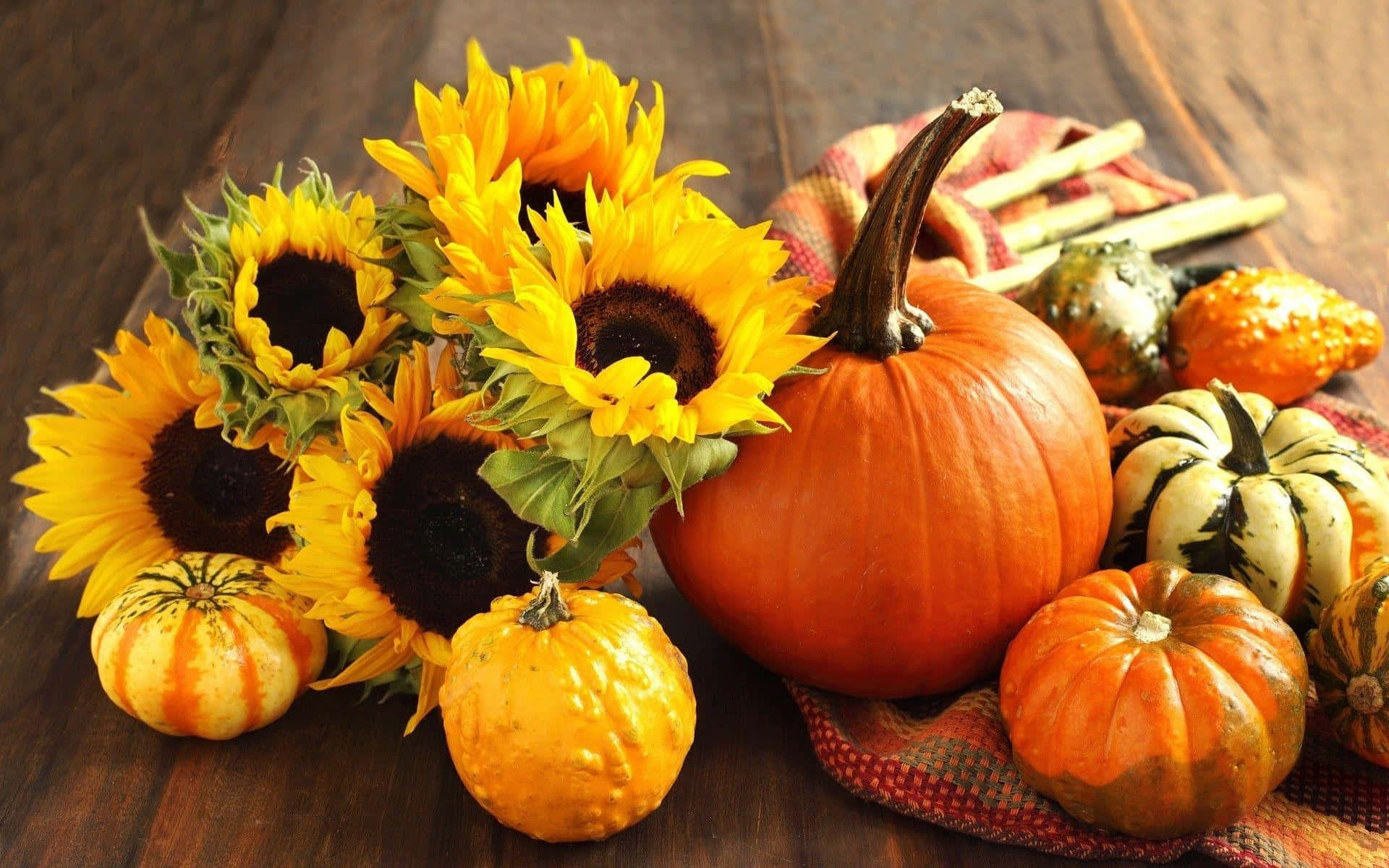 Celebrate Fall With This Festive Pumpkin Background