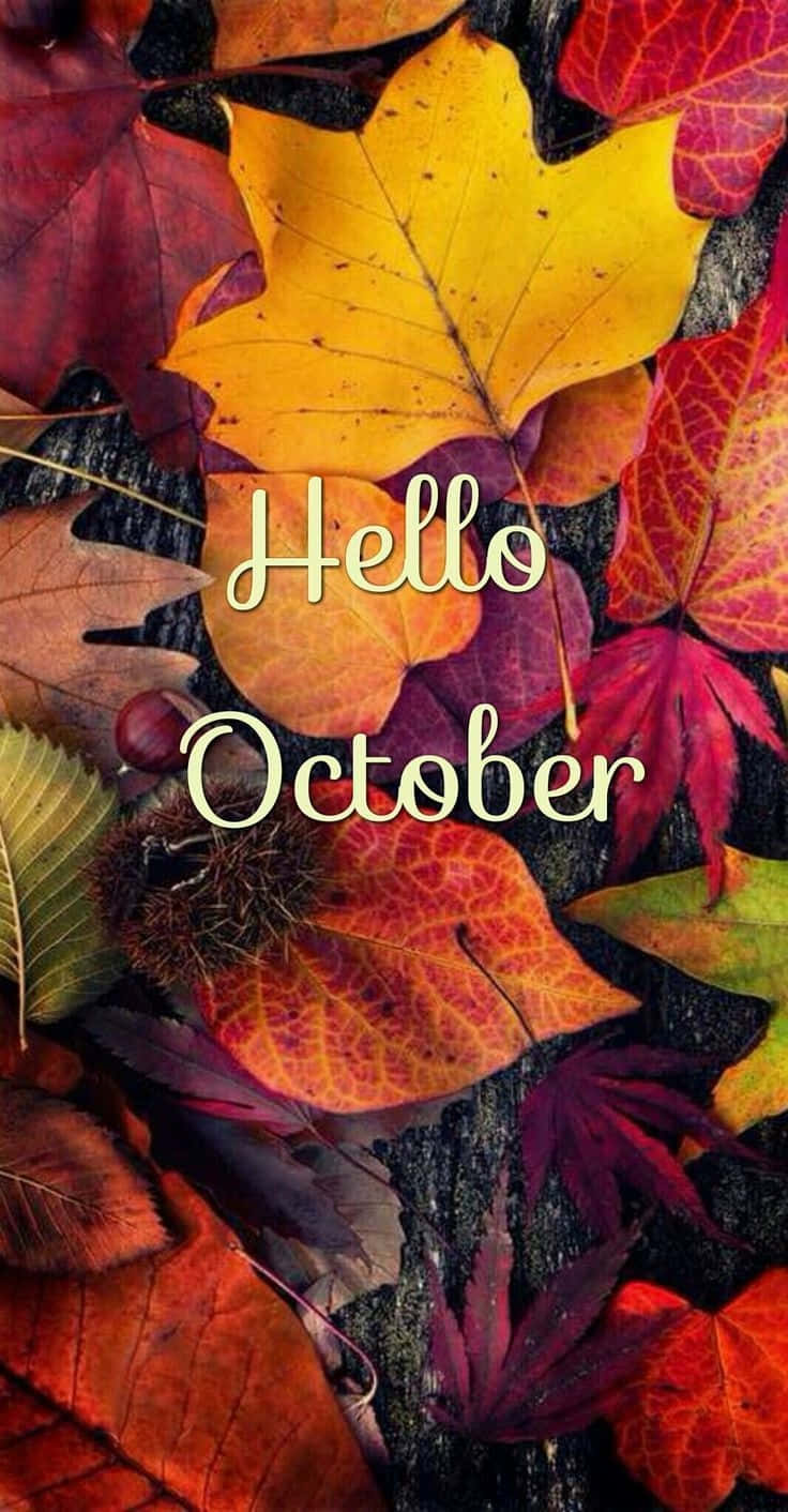 Celebrate Fall With This Fun “hello October With Pumpkin” Wallpaper! Background