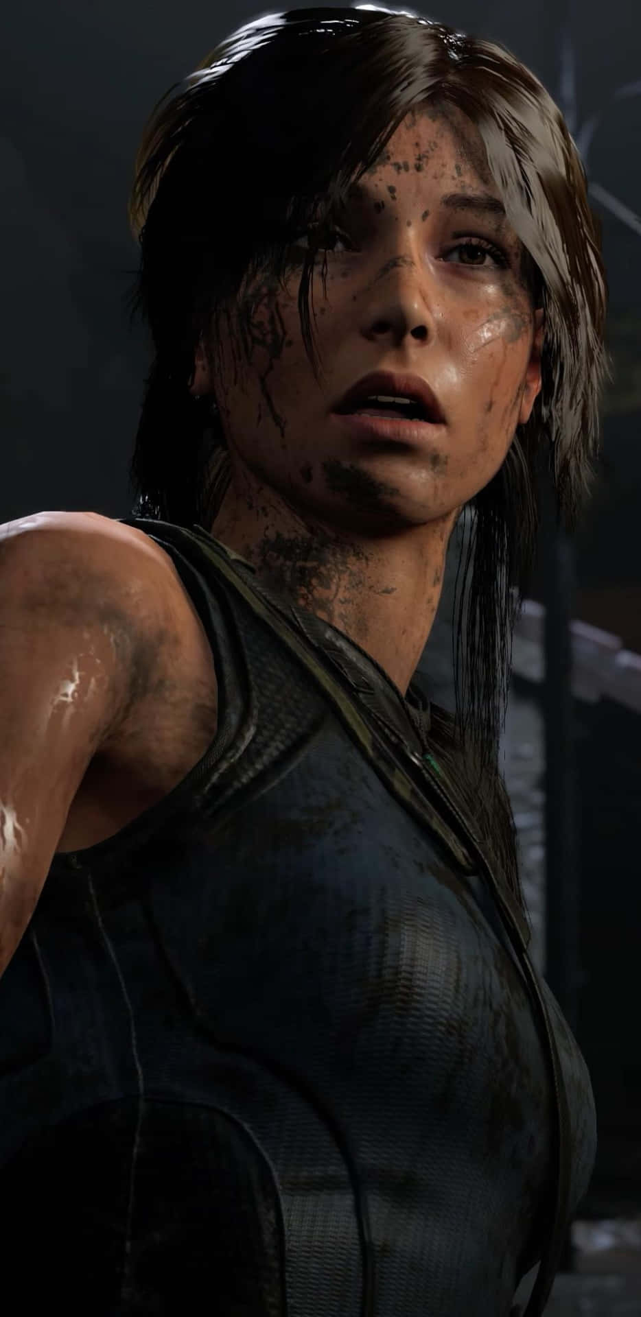 Celebrate Gaming With The Brand New Tomb Raider Phone Background