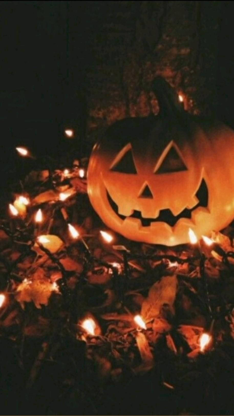 Celebrate Halloween With A Festive Jack-o'-lantern Background