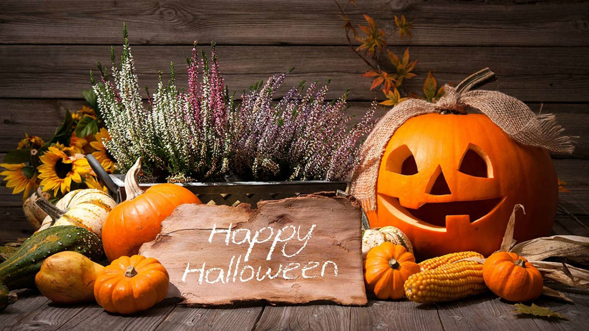 Celebrate Halloween With Fun And Joy Background