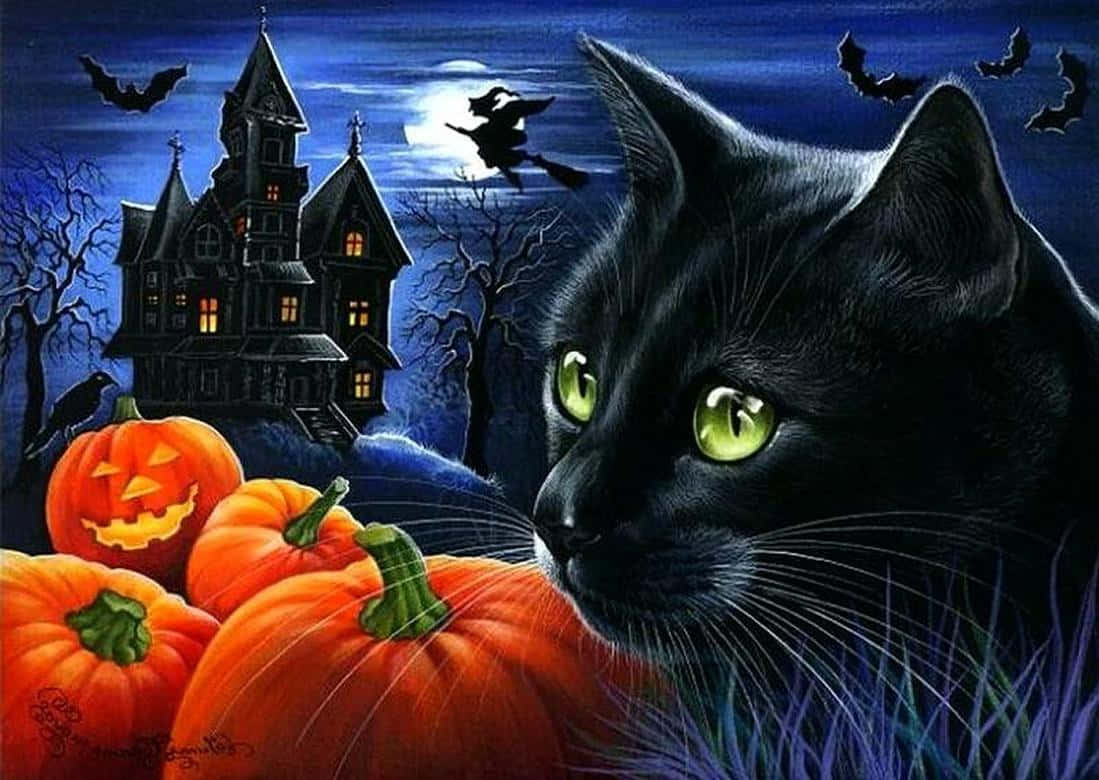 Celebrate Halloween With Your Lovable Black Cat! Background