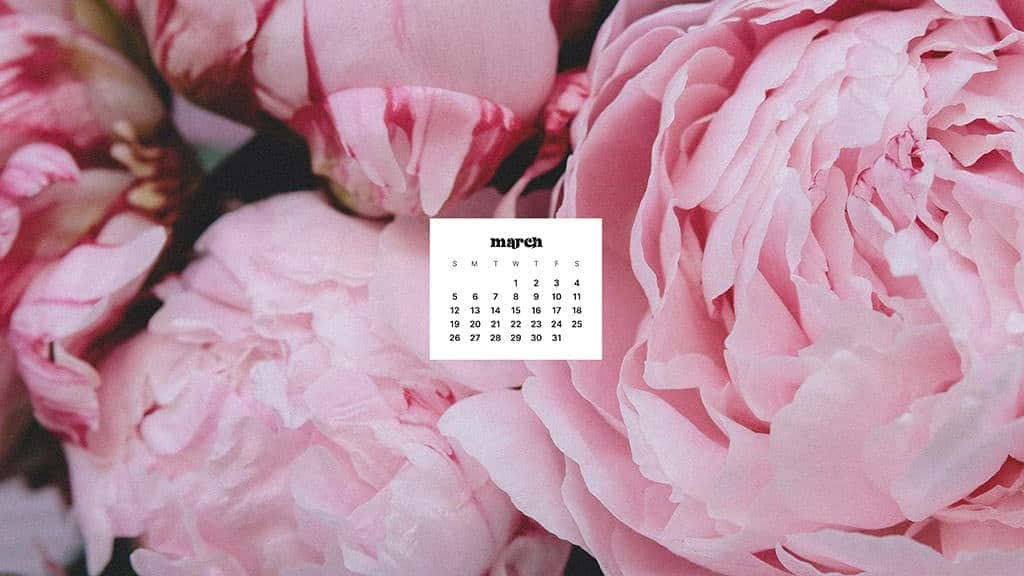 Celebrate March With This Vibrant Desktop Background Background