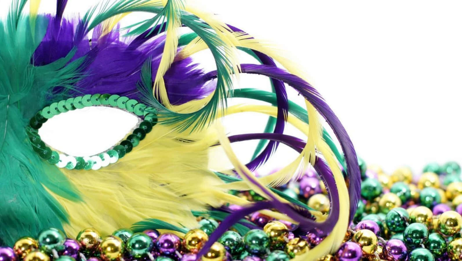 Celebrate Mardi Gras In Style