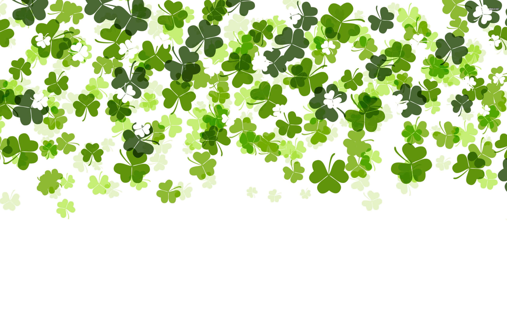 Celebrate St. Patrick's Day With A Shamrock