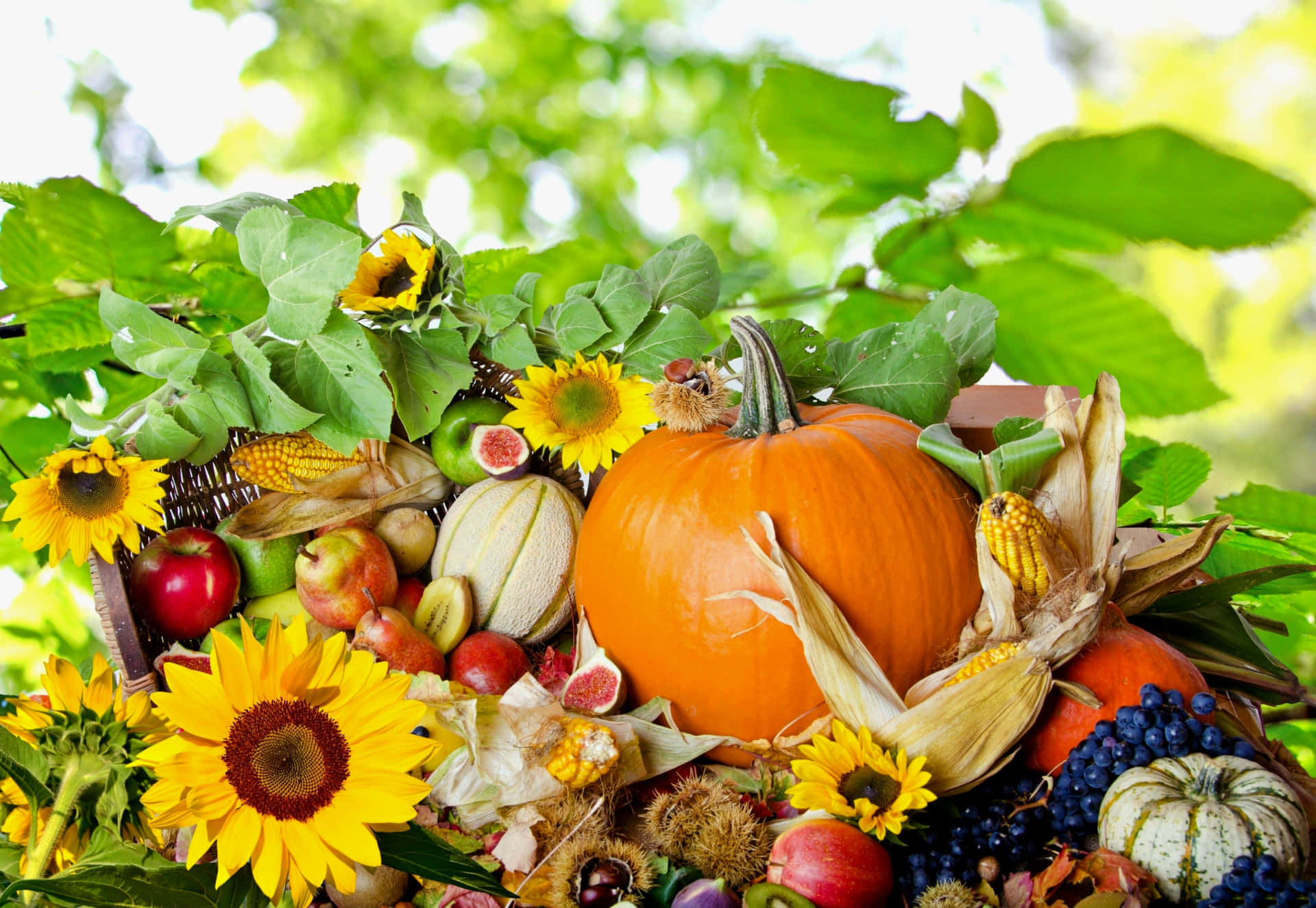 Celebrate Thanksgiving With A Beautiful Feast Background