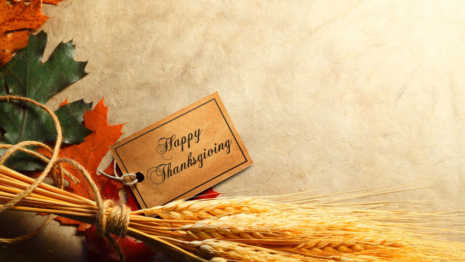 Celebrate Thanksgiving With A Festive Desktop Background