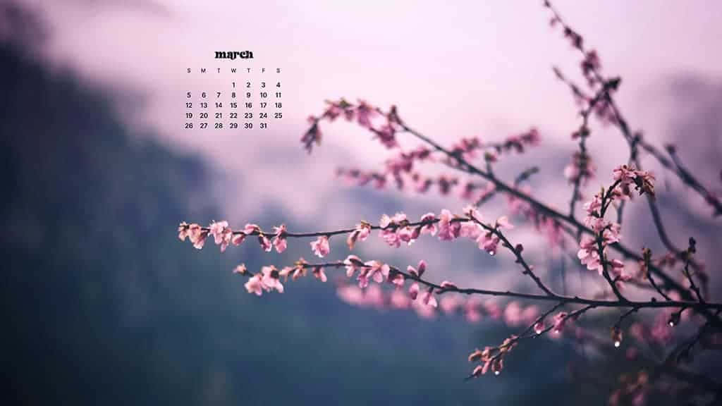 Celebrate The Arrival Of March With This Desktop Background Background