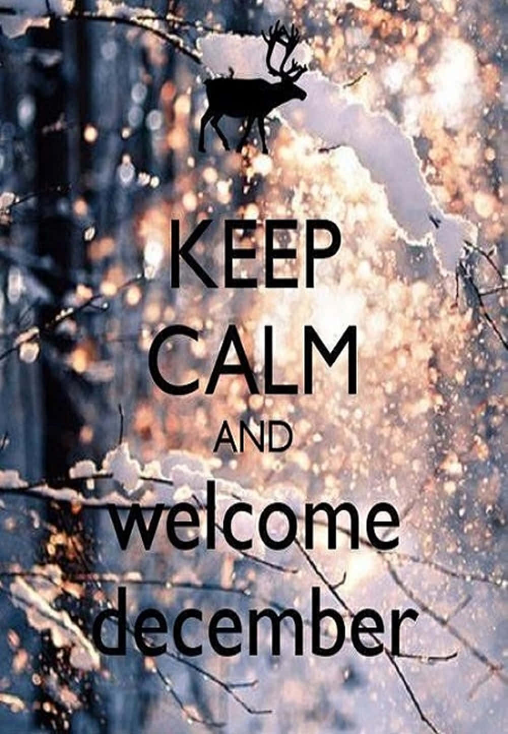 Celebrate The Beauty And Joy Of December Background