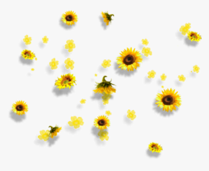 Celebrate The Beauty Of A Sunflower Yellow Summer Day With This Adorable Tumblr Aesthetic Background