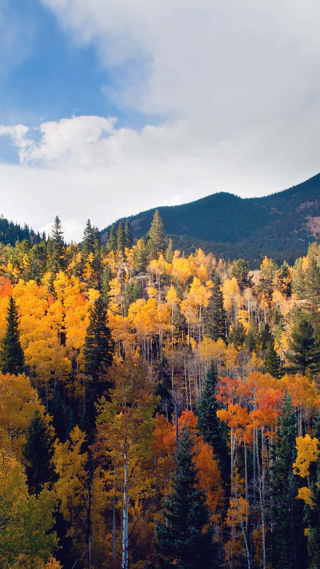 Celebrate The Beauty Of Fall Among Towering Mountains Background