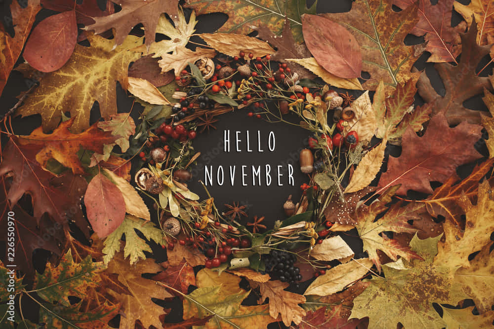 Celebrate The Beauty Of Fall Background