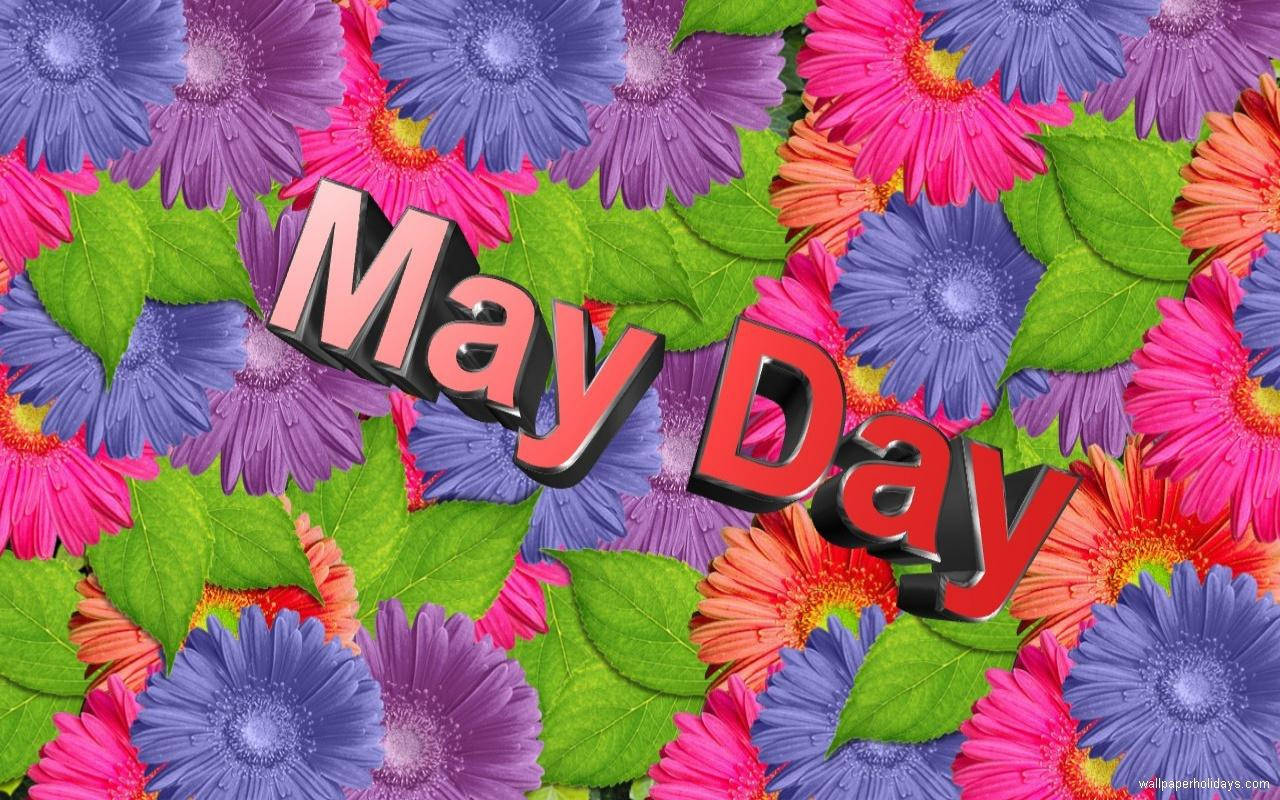 Celebrate The Beauty Of May With Vibrant Flowers Background
