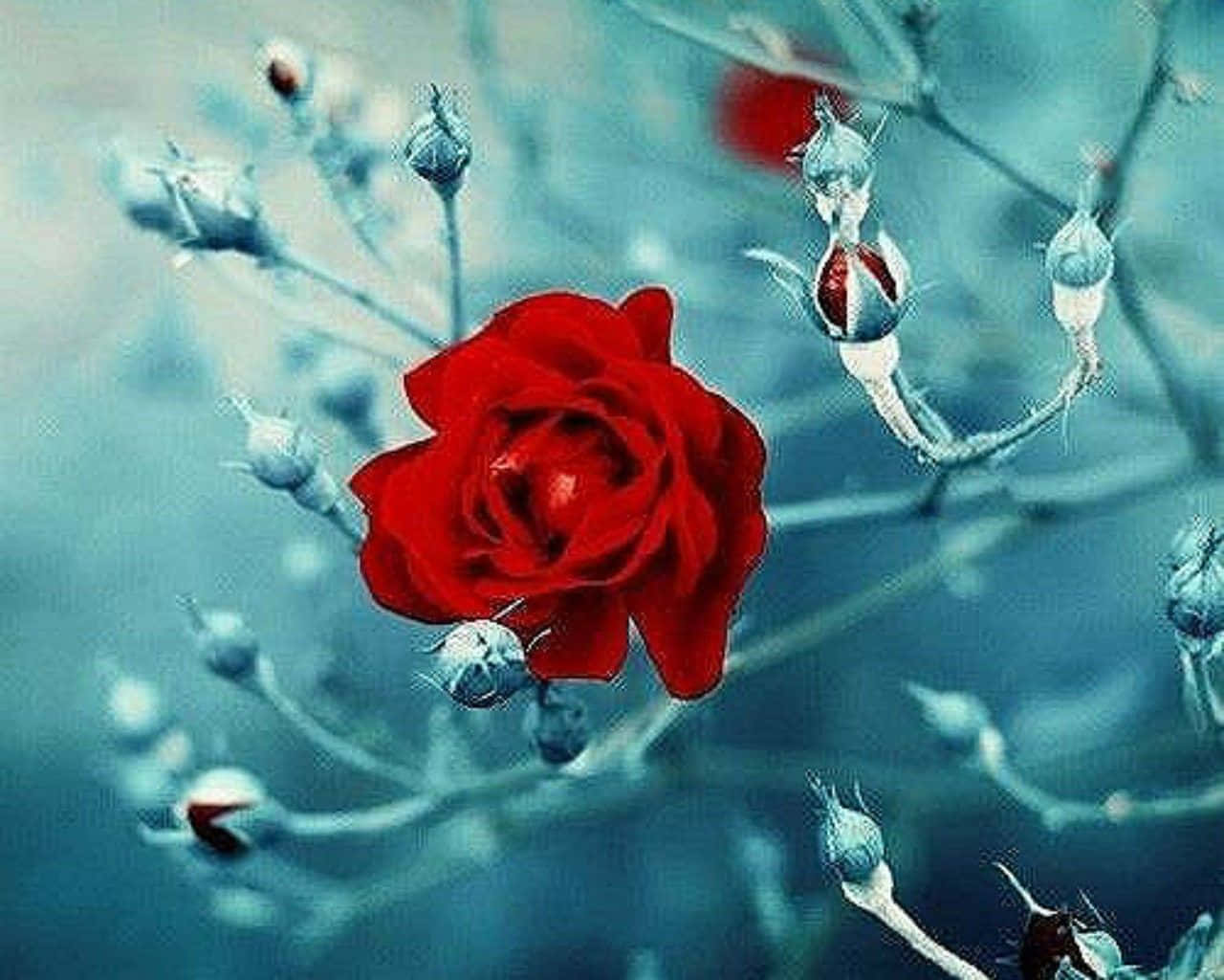 Celebrate The Beauty Of Nature With The Enchanting Anime Flower. Background
