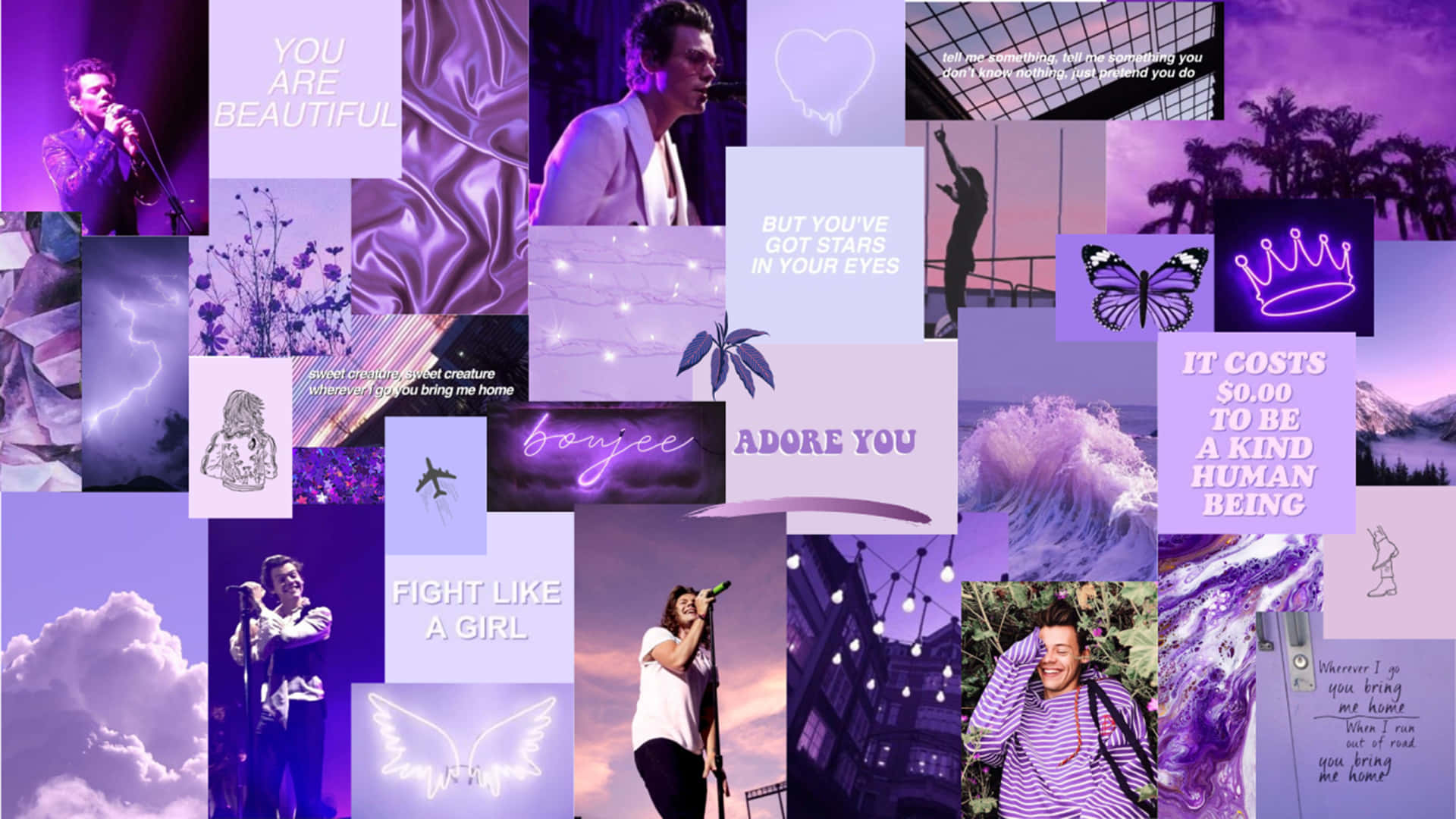 Celebrate The Beauty Of Purple In This Vibrant Collage! Background
