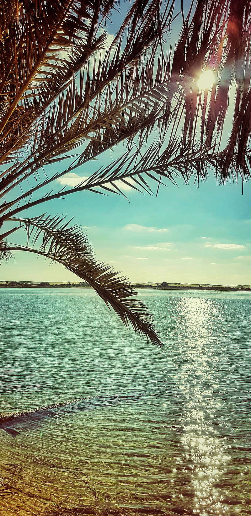 Celebrate The Beauty Of Summer In California