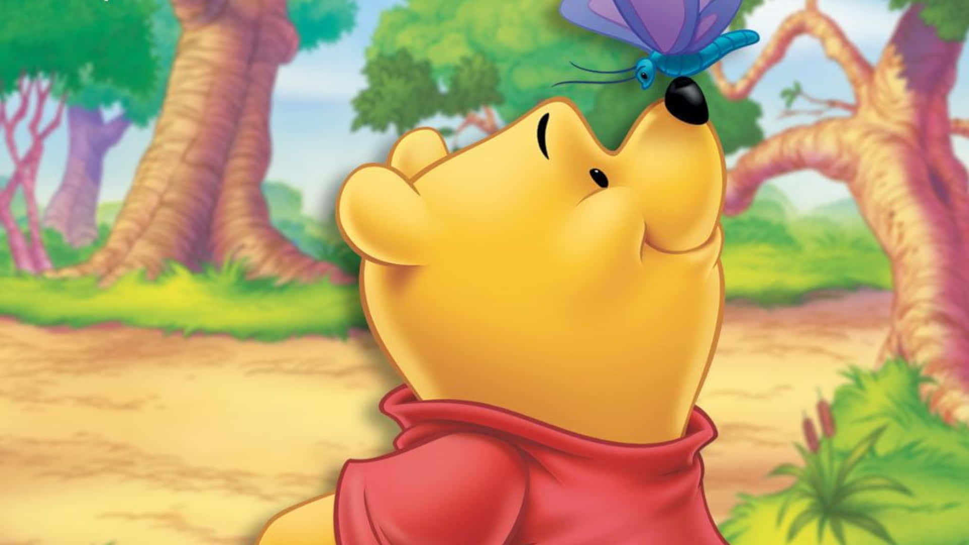 Celebrate The Beloved Disney Character Winnie The Pooh With This Playful Laptop Wallpaper! Background