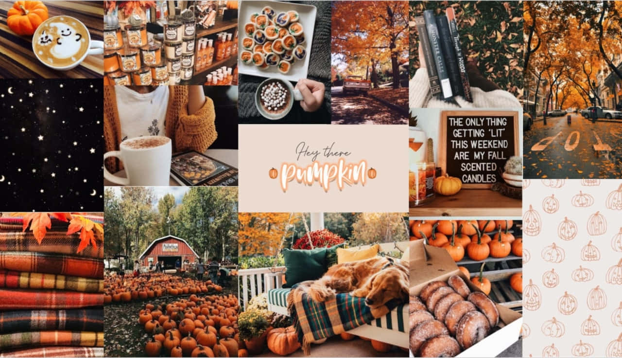 Celebrate The Changing Season With This Vibrant Fall Collage Desktop
