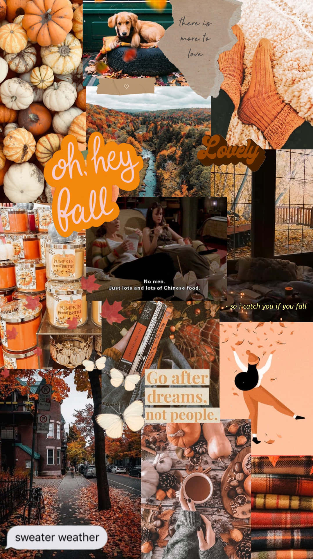 Celebrate The Colors Of Fall Background