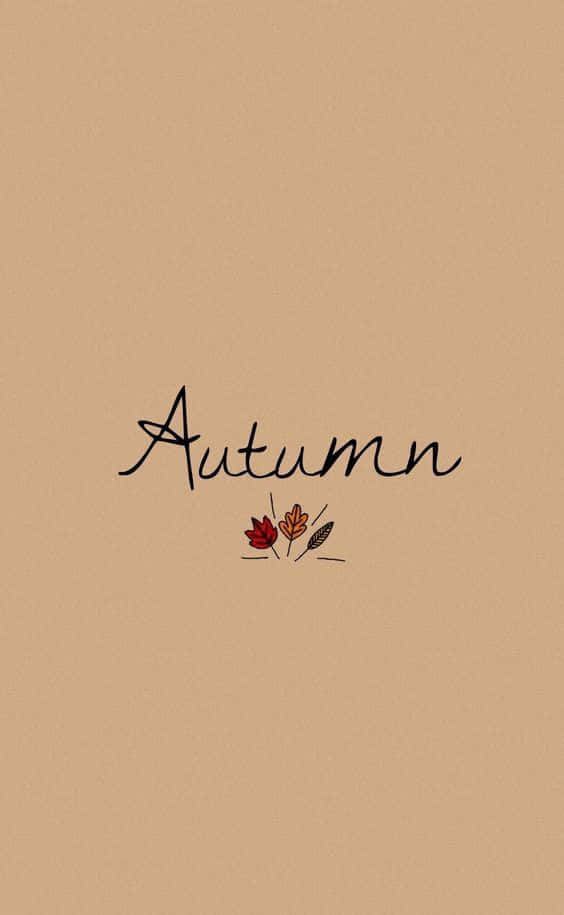 Celebrate The Colors Of Fall Background