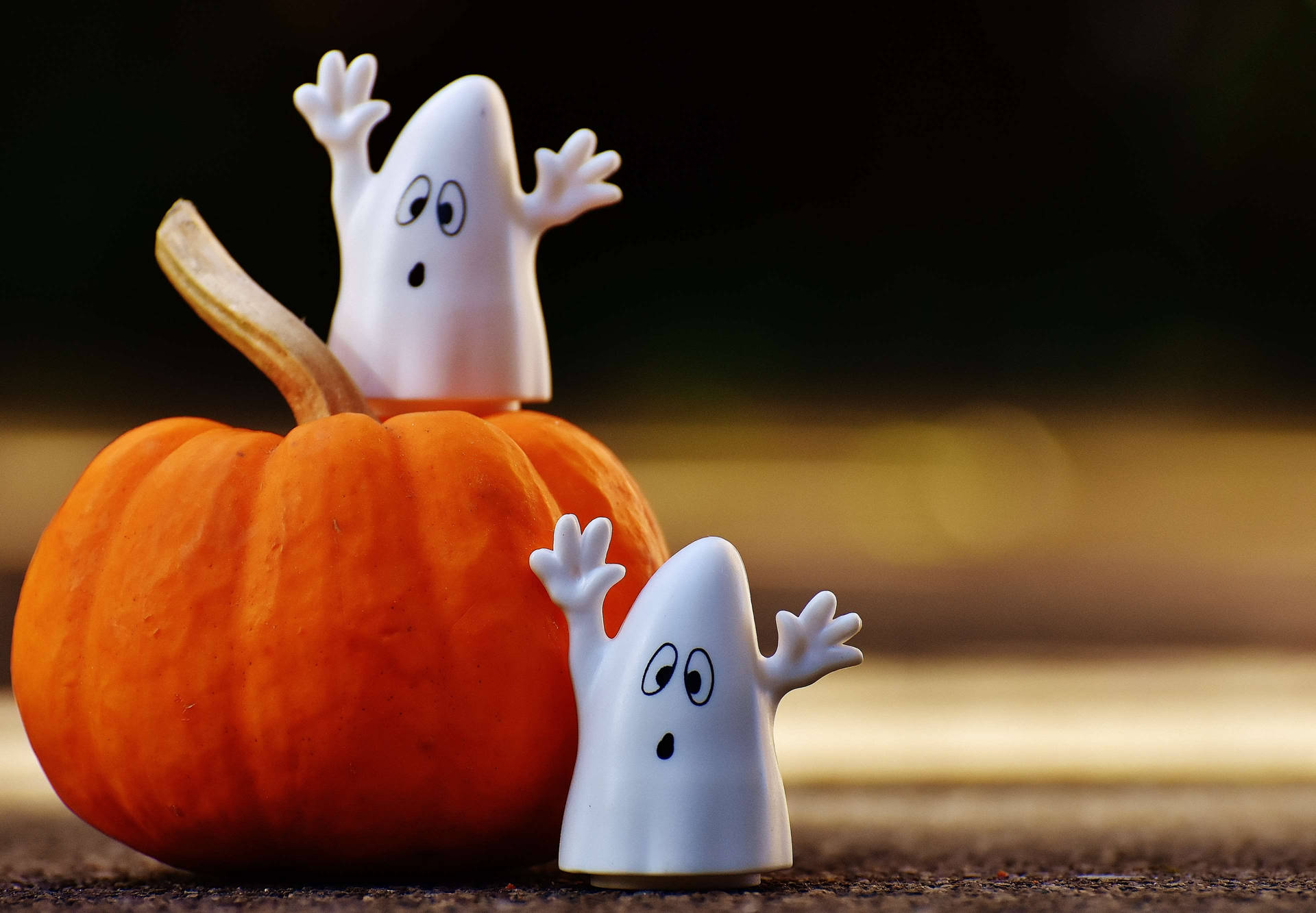 Celebrate The Cuteness Of October