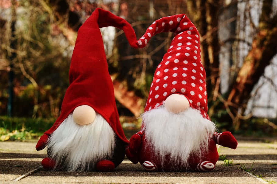 Celebrate The Holidays With A Christmas Gnome Background